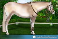 Horse Color:Chocolate Palomino Pearl Onyx