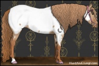 Horse Color:Red Dun Near Fewspot 