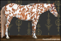 Horse Color:Chestnut Near Leopard 
