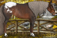 Horse Color:Liver Chestnut Appaloosa Rabicano 