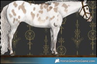 Horse Color:Liver Red Dun Mushroom Appaloosa