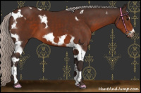 Horse Color:Silver Brown Tobiano Frame 