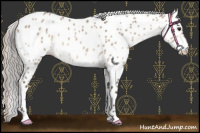 Horse Color:Silver Brown Dun Leopard Rabicano 