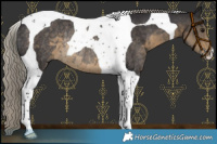 Horse Color:Silver Smoky Black Tobiano Rabicano