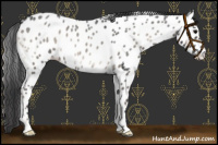 Horse Color:Blue Onyx Roan Mushroom Near Leopard