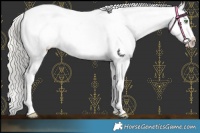 Horse Color:Silver Amber Cream Champagne Near Leopard 