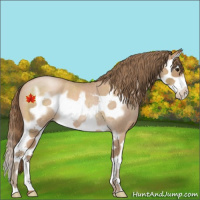 Horse Color:Blue Roan Pearl Splash Frame 
