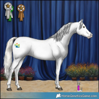 Horse Color:Palomino Fewspot