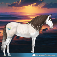 Horse Color:Amber Champagne Roan Splash Rabicano 