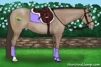 Horse Color:Classic Champagne