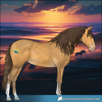 Horse Color:Sable Cream Champagne 