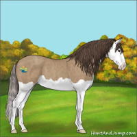Horse Color:Classic Champagne Splash 