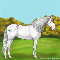 Horse Color:Silver Bay Splash Tobiano Rabicano 