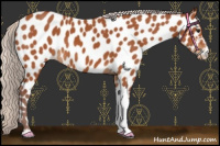Horse Color:Chocolate Silver Bay Near Leopard 