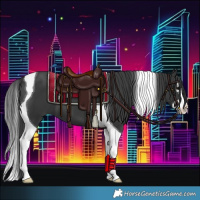 Horse Color:Black Splash Tobiano