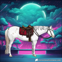 Horse Color:Brown Dun Tobiano Appaloosa Rabicano 