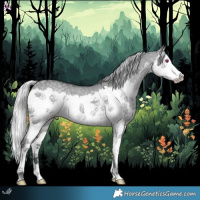 Horse Color:Silver Grullo Chinchilla Splash