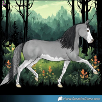 Horse Color:Grullo Chinchilla Splash 