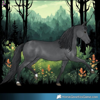 Horse Color:Black Chinchilla 