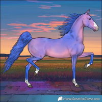 Horse Color:Watercolor Bay 