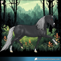 Horse Color:Silver Black Chinchilla 