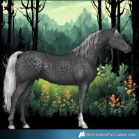 Horse Color:Silver Black Chinchilla 