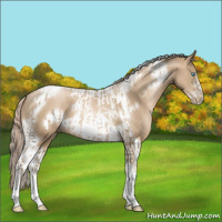 Horse Color:Chocolate Palomino Pearl Tobiano Frame  and Chocolate Palomino Pearl Tobiano Frame 