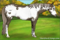 Horse Color:Chocolate Palomino Frame 