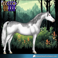 Horse Color:White Spotted Silver Black Chinchilla Splash Rabicano