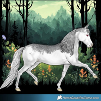 Horse Color:Silver Black Chinchilla Splash Rabicano 