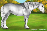 Horse Color:Silver Blue Onyx Chinchilla Sabino 