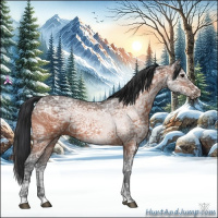 Horse Color:Bay Ice Sabino 