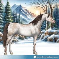 Horse Color:Classic Champagne Ice Dun 