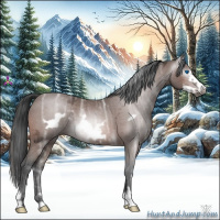 Horse Color:Gray Bay Ice Frame