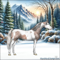 Horse Color:Silver Bay Ice Splash Tobiano 