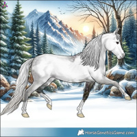 Horse Color:Gray Midnight Silver Grullo Ice Frame 