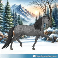 Horse Color:Black Ice 