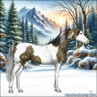 Horse Color:Buckskin Ice Splash Tobiano 