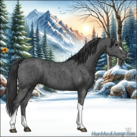 Horse Color:Black Ice 