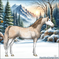 Horse Color:Gold Champagne Ice Splash 