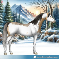 Horse Color:Buckskin Ice Splash Frame 