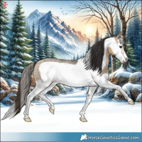 Horse Color:Buckskin Ice Dun Splash Frame 