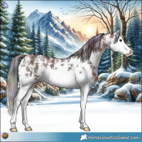Horse Color:Nacre Bay Ice Sabino Splash 