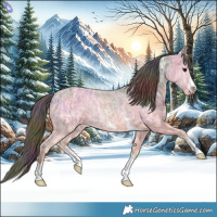 Horse Color:Nacre Bay Ice Varnish Rabicano 