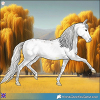 Horse Color:Liver Red Onyx Mushroom Splash Frame Appaloosa 