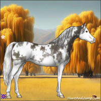 Horse Color:White Spotted Liver Chestnut Mushroom Splash Rabicano 