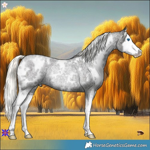 Horse Color:White Spotted Liver Red Roan Mushroom Splash Rabicano 