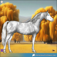 Horse Color:White Spotted Liver Red Roan Mushroom Splash Rabicano