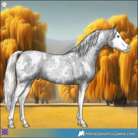 Horse Color:White Spotted Liver Red Roan Mushroom Splash Rabicano 