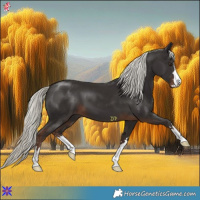 Horse Color:Liver Chestnut Mushroom 